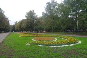 Народный парк возле кинотеатра "Эльбрус" в Царицыно