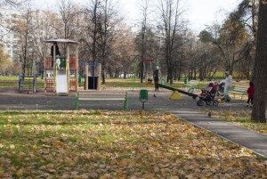 Парк "Сосенки" - одно из мест в районе Царицыно, где могут пройти новогодние гуляния