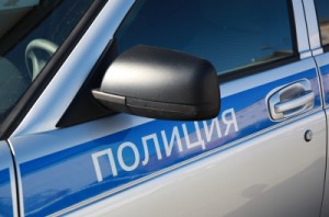 Экипажем автопатруля ОМВД России по району Царицыно на улице Севанская был задержан подозреваемый