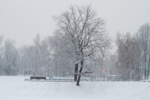 Январь в Москве стал самым снежным с 1970 года