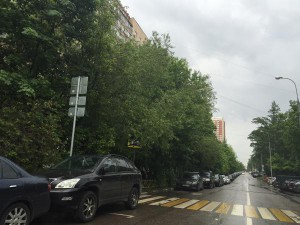 Горожане пожаловались, что на Кантемировской улице дорожный знак пешеходного перехода скрыт от водителей ветками деревьев