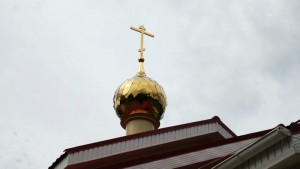 Православная молодежная организация «Ника» функционирует в районе Царицыно