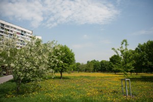 Концертную программу для жителей ЮАО проведут 12 июня в парке «Садовники»