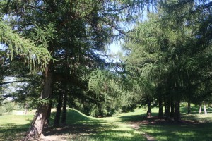 В парке "Царицыно" посетители смогут потренироваться в скалолазании 