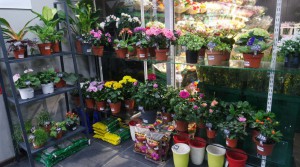 Киоск со специализацией "Цветы" расположен в районе Царицыно