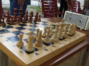 Шахматы в районе Царицыно