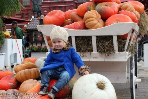 В Москве пройдёт гастрономический фестиваль «Золотая осень»