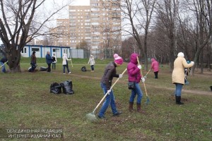 Субботник в районе Царицыно