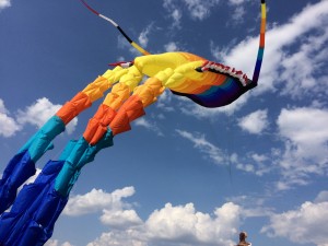 Фестиваль "Пестрое небо" пройдет в парке-заповеднике Царицыно