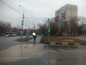 По просьбе местного жителя в районе Царицыно починили пешеходные светофоры