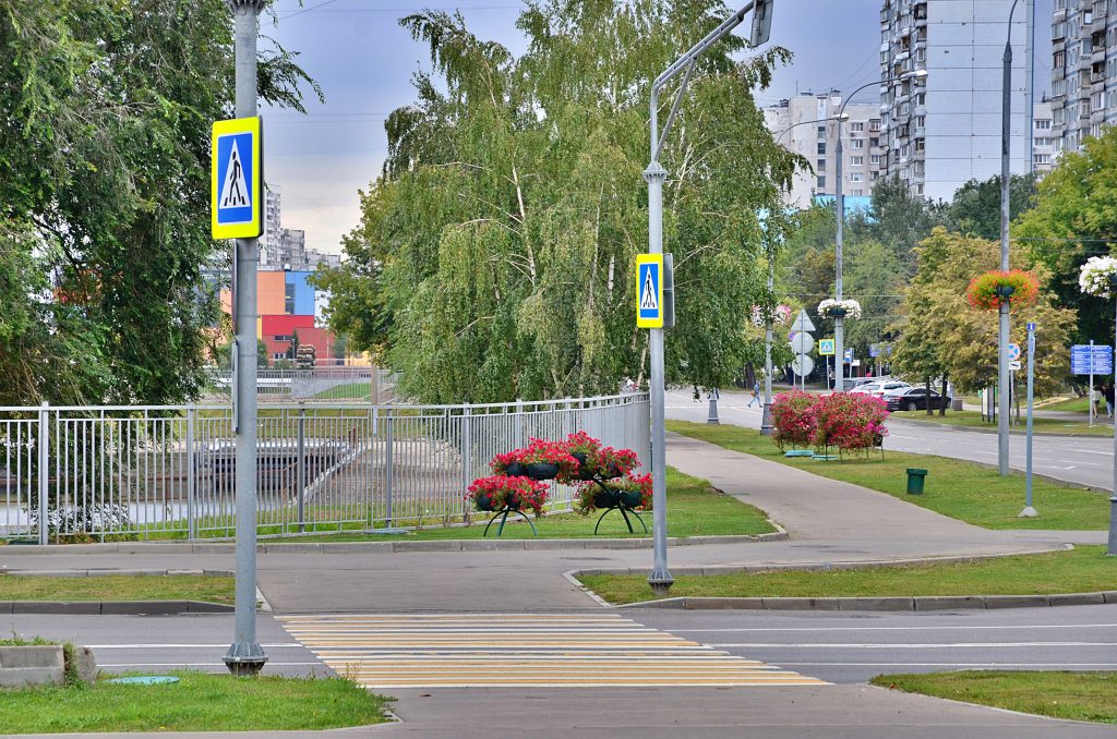 День и Ночь московского спорта пройдут в столице 31 мая. Фото: Анна Быкова, «Вечерняя Москва»