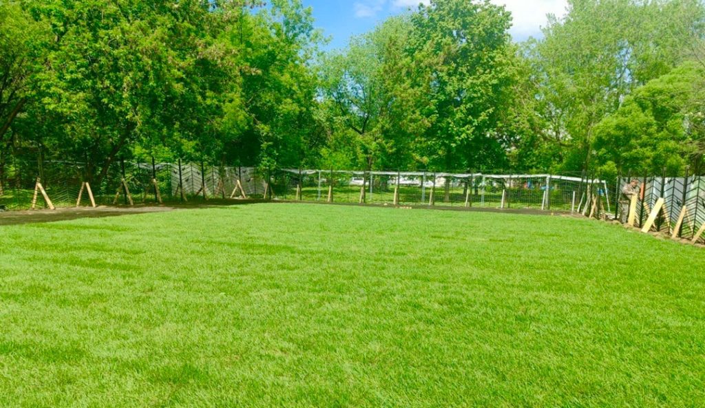 Сотрудники районной управы рассказали о благоустройстве в Царицыне. Фото: официальная страница управы района Царицыно в социальных сетях