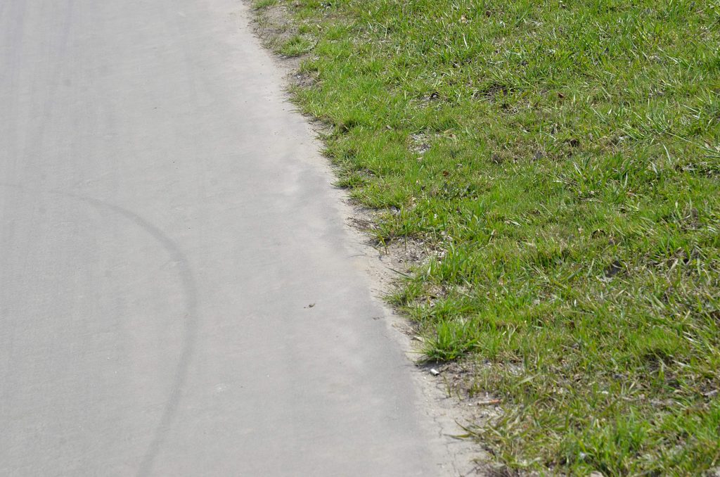 Представители районной управы пригласили горожан на мастер-класс по роллер-спорту. Фото: Анна Быкова, «Вечерняя Москва»