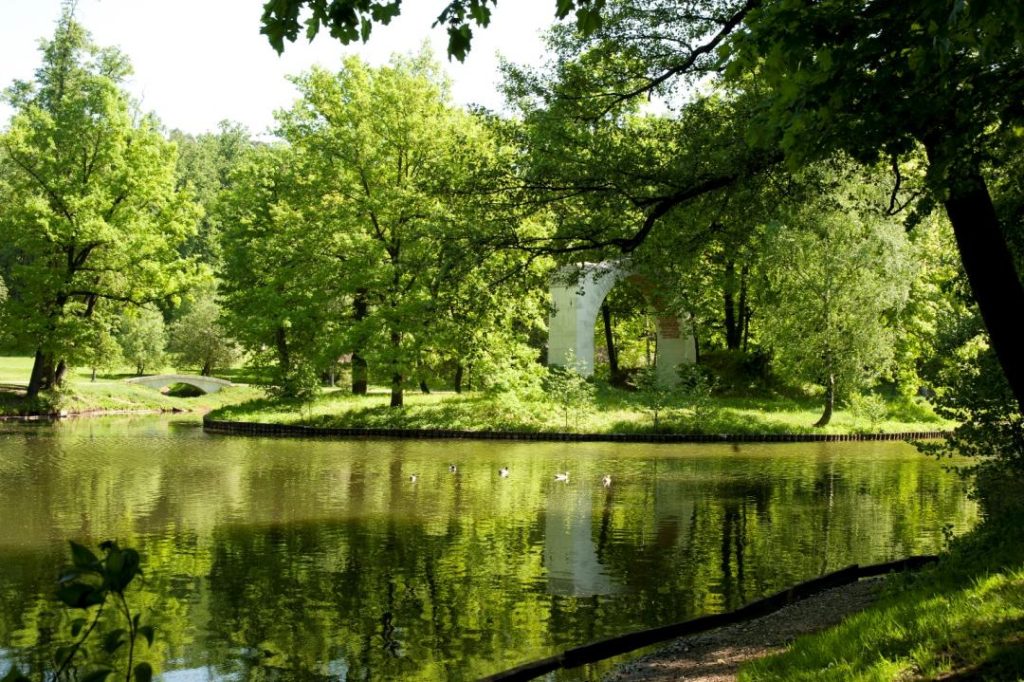День эколога отпразднуют в МЗ «Царицыно». Фото: официальный сайт МЗ «Царицыно»