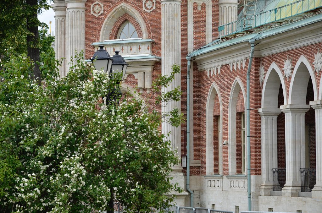 В МЗ «Царицыно» открылся обновленный сад лекарственных растений. Фото: Анна Быкова, «Вечерняя Москва»