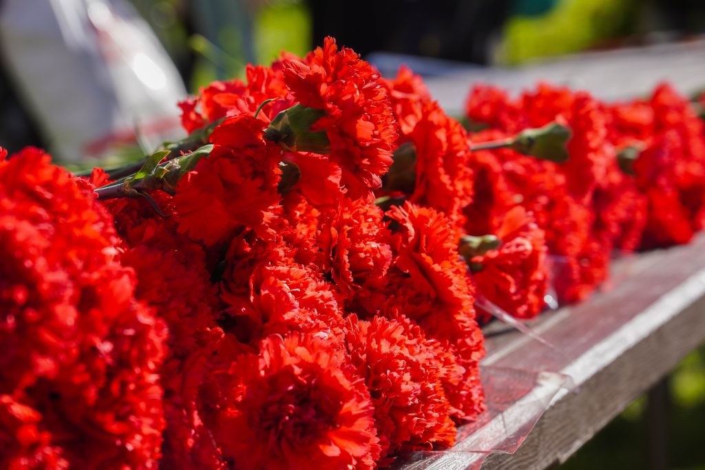 Студентка Колледжа «Царицыно» посетила мемориал «Воинам-сибирякам». Фото: Ксения Догонашева, «Вечерняя Москва»