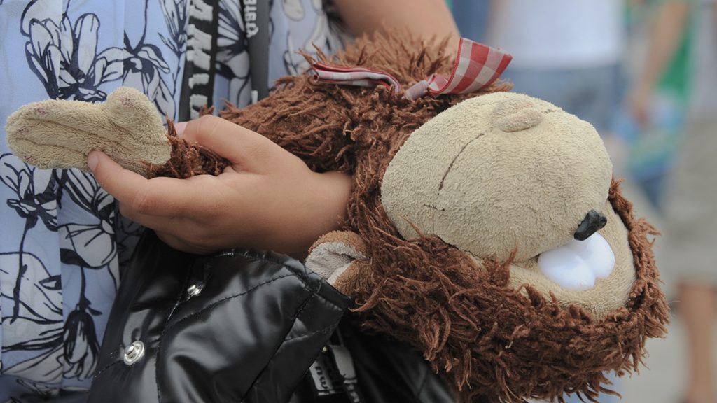 В парке «Сосенки» пройдет познавательная программа «История игрушек». Фото: Пелагия Замятина, «Вечерняя Москва»