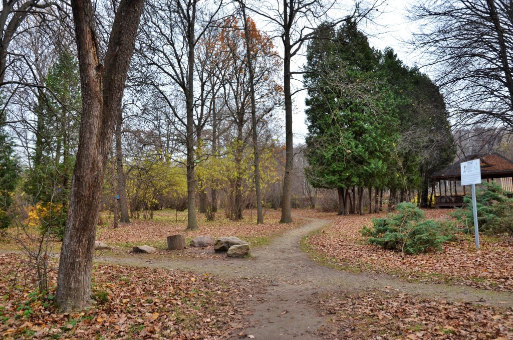 Плоггинг организуют в Бирюлевском дендропарке. Фото: Анна Быкова, «Вечерняя Москва»