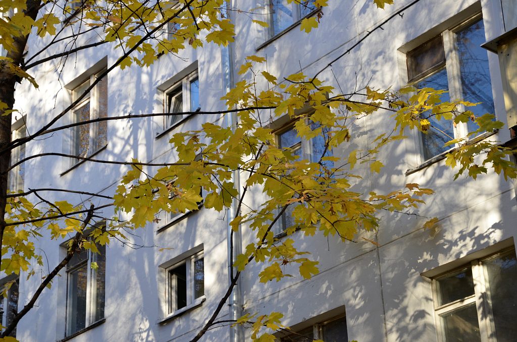 Горожане посетили обновленный Царицынский рынок более 3,4 миллионов раз. Фото: Анна Быкова, «Вечерняя Москва»