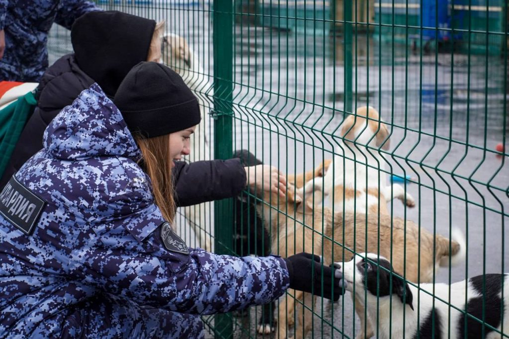 Фото: пресс-служба РосгвардииВ рамках волонтерской акции сотрудники вневедомственной охраны Главного управления Росгвардии по г. Москве посетили крупный приют для бездомных животных, расположенный на юге столицы.

В ходе визита стражи порядка передали учреждению партию кормов, медикаментов и необходимые средства для содержания питомцев. Росгвардейцы провели время с животными: помогли персоналу в уходе и уделили особое внимание тем питомцам, которые больше всего нуждались в общении и заботе.

Подобные акции являются частью регулярной волонтерской и социальной деятельности столичного главка Росгвардии.