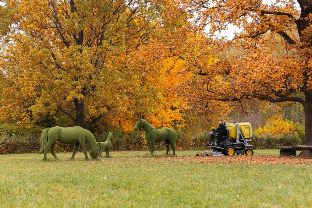Специалисты МЗ «Царицыно» провели уборку территории Бирюлевского дендропарка. Фото: сайт МЗ «Царицыно»