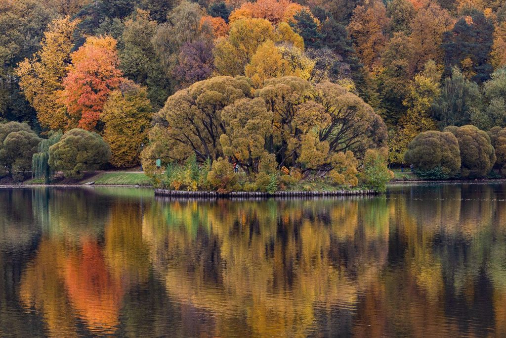 Царицынские пруды признали одними из лучших для осенних прогулок. Фото: сайт мэра Москвы