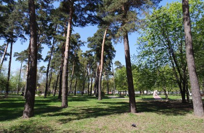 Парк «Сосенки» в районе Царицыно