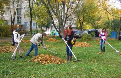 Вопрос уборки листвы во дворах вынесен на голосование в «Активном гражданине»