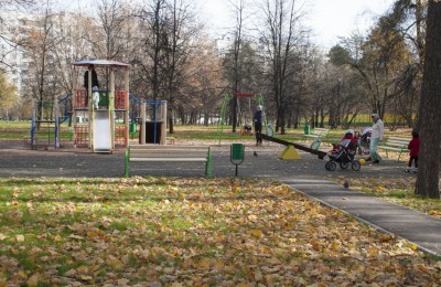 Парк "Сосенки" - одно из мест в районе Царицыно, где могут пройти новогодние гуляния
