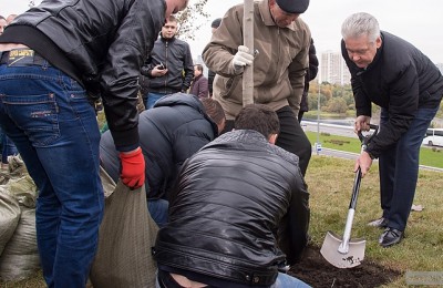 Мэр Москвы Сергей Собянин принял участие в высадке деревьев возле Каширского шоссе