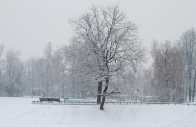 Январь в Москве стал самым снежным с 1970 года