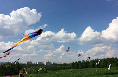 На берегу Нижнего Царицынского пруда в выходные прошел фестиваль воздушных змеев «Пестрое небо»