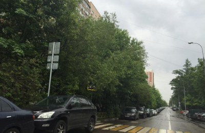 Горожане пожаловались, что на Кантемировской улице дорожный знак пешеходного перехода скрыт от водителей ветками деревьев