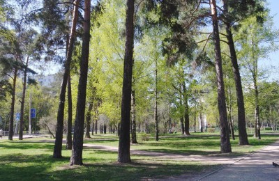 На фото парк "Сосенки"