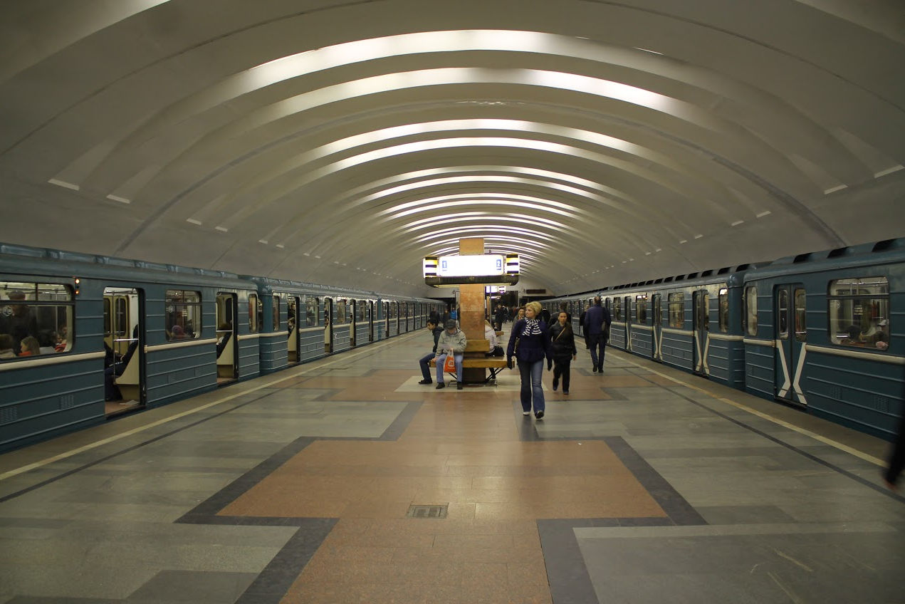 москва царицыно метро
