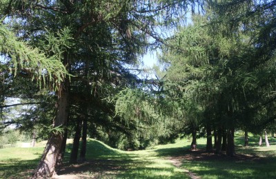 В парке "Царицыно" посетители смогут потренироваться в скалолазании