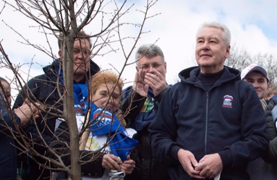 Мэр Москвы Сергей Собянин дал поручение высадить новые деревья взамен уничтоженных ураганом