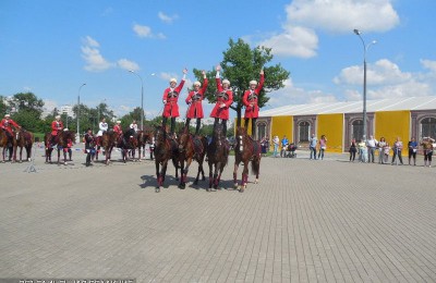 Верховая езда в музее-заповеднике "Коломенское"