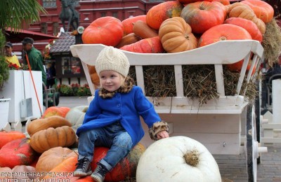 В Москве пройдёт гастрономический фестиваль «Золотая осень»