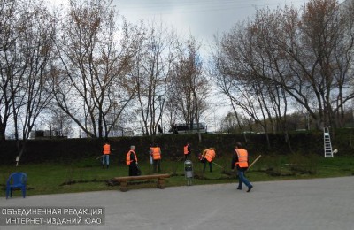 Уборку территории провели в народном парке имени Надежды Рушевой