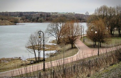 Оздоровительный маршрут откроют в парке «Царицыно»
