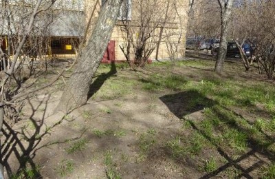 Убранный газон во дворе на Пролетарском проспекте