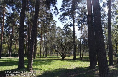 Народный парк «Сосенки» в районе Царицыно