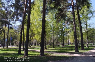 Парк «Сосенки» станет площадкой для мемориальной акции в честь Дня Скорби