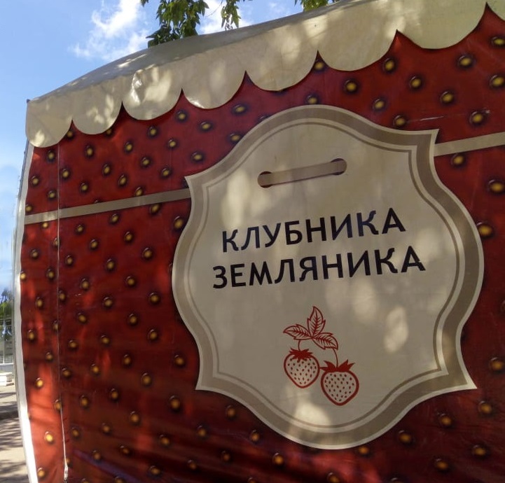 Торговые ягодные площадки очень популярны у жителей Царицына