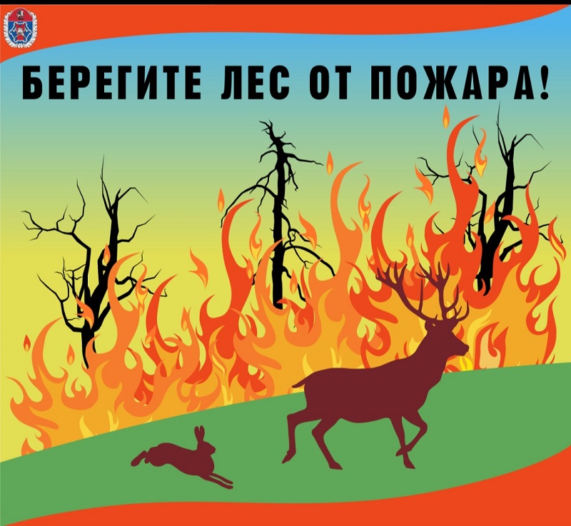 Памятка о поведении граждан в лесу