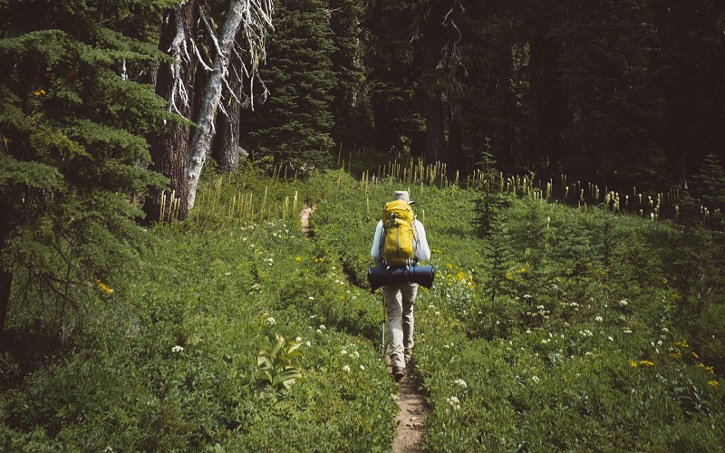 Как не заблудиться в лесу — правила поведения на природе!