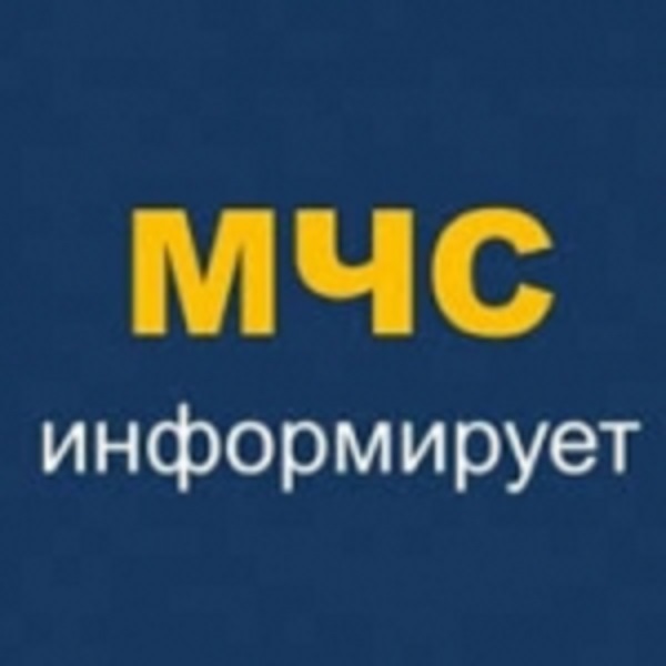 Школьники побывали на поисково-спасательной станции «Борисовская»