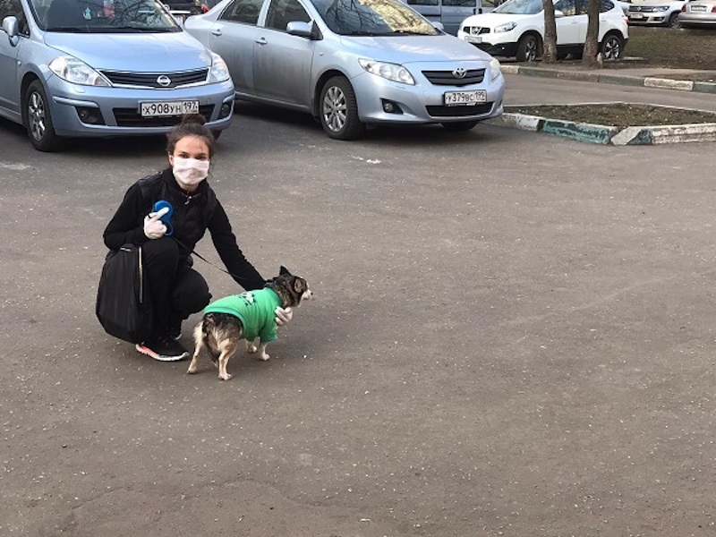 Наталья Коршунова: «Важно защитить себя от псевдоволонтеров»