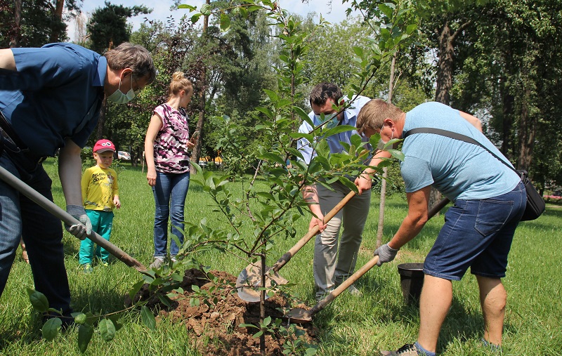 Дедушка посадил дерево 54 года. Посадка деревьев. Дети сажают деревья. Посадка деревьев детьми. Школьники сажают деревья.